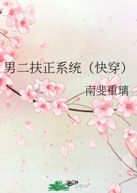 男二扶正系統(快穿)