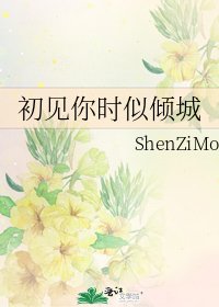 初見你時似傾城