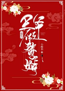 王爷做赘婿(重生)